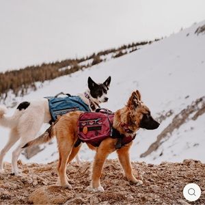 Wilderdog M dog backpack in huckleberry